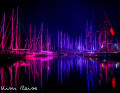 Place 22: Play of colours - Kim Reise. The port of Ærøskøbing after the 2023 shipping regatta, photographed with a good eye for colour, reflection and composition
