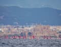Un magnifico palazzo che fa da cornice alla regata spagnola classica