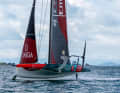 Die Cup-Verteidiger aus Neuseeland auf der AC40