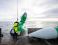 Off to the winter break: A large fairway buoy from the summer buoyage is cleaned on a buoy layer before being taken on board. To the right, the winter buoy is ready.