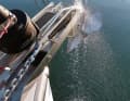 Dishwashing: There are two anchor galleys, the one on starboard is equipped with a cleaning system - as already practised on other yachts