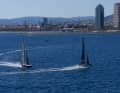 "Luna Rossa" vs. "Patriote"