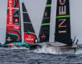 So far, "Britannia" has not been able to put up enough of a fight against New Zealand's defenders. Will that change in races 5 and 6 on 16 October?