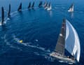 Le "Hatari" de Marcus Brennecke s'impose ici