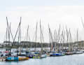 The Class 40 fleet in Lorient: The journey will continue for them on Monday (6 November), as it did for the Ocean Fifties