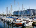 The Damp marina turned 50 last year (see picture) - then came the catastrophic storm surge. The harbour remains closed due to the damage
