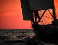 However, special shots were also taken this week during the North Sea Week