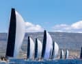 Les grands cygnes de course au large d'Alghero