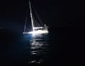 Orca-Attacke: Bilder vom Untergang der "Bonhomme William"