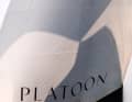 Beautiful snapshot of "Platoon Aviation" from last year.