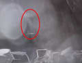 Videos from a surveillance camera on land show the rapid sinking.