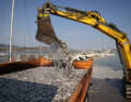Tonnes of dead fish are dredged from the Volos harbour basin