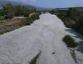 Ein Fluss nahe Volos ist mit einem Teppich toter Fische bedeckt