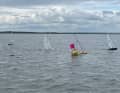 14 races were organised in the RG65 group