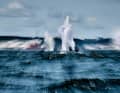 Britons Hannah Bristow and James Taylor, who are in second place, are at the centre of an extraordinary snapshot.