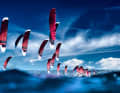 Das Bild zum Kitesport, der Himmel und Wasser miteinander verbindet.
