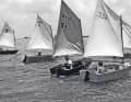 Optis d'origine à Clearwater. Encore avec le bas de la voile ouvert, mais déjà avec des numéros de voile