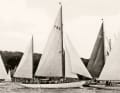 Die „Mingary“ auf einer alten Aufnahme während der Teil­nahme an einer Regatta