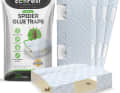 Sticky traps for indoor use for spiders, beetles and crawling insects