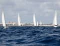 In the background: the cityscape of Las Palmas de Gran Canaria | WCC