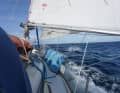 Les croisières au long cours sont également à la mode chez les navigateurs de plus en plus jeunes : à 19 ans, Lennart Burke traversait déjà l'Atlantique à la voile. Le skipper et de nombreux autres navigateurs en mer ont été récompensés pour leurs grands voyages.
