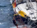 Festgeklammert am Rettungsnetz