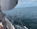 The opening of the leeward leech can be controlled with barber haulers on the sheets that are guided to the side deck