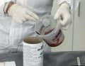 The levelling compound is mixed with lightweight filler with phenolic resin beads. The consistency should be that of peanut butter