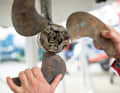 Propellers: Check for foreign objects or fouling if there are any abnormalities in the manoeuvre. Depending on the manufacturer, folding or rotary blade propellers must be lubricated once in winter