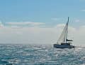 Strong wind tactics. A Lagoon 39 fights its way to windward unimpressed under jib and engine