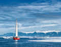 A cruise for experts: the crew of the "La Belle Époque" searches for a way through the ice on a trip to Greenland