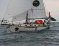The Cape George of the South African skipper with German roots