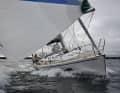 Der gewaltige Spi bringt die Linjett schon bei etwa 8 Knoten Wind in Fahrt