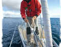 3. place the hawser under the sea railing and free of obstacles in the direction of pull, either on the cleats or on its own prepared capstan point