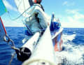Modified small cruiser on an extreme voyage