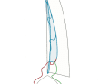 If the gennaker flies in front of the boat, jibe the boom quickly. Do not forget the counter rudder