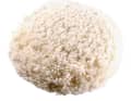 Pad di lana: i dischi di pelle d'agnello e i pad di lana sono i classici accessori per le lucidatrici rotative. Hanno un effetto abrasivo molto forte, ma possono essere utilizzati solo per una lucidatura grossolana. I profani corrono il rischio di creare ologrammi, per cui è opportuno utilizzare una spugna dura. I dischi di schiuma sono anche superiori per la lucidatura fine, in quanto producono una lucentezza più uniforme.