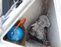 Unsightly: Gas bottle in the deep anchor locker
