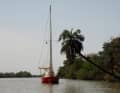 The "Aracanga" on the Gambia - Impressions