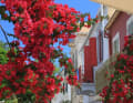 Colourful houses, bright bougainvillea bushes are typical, the white cube houses of the Aegean are rarely found in the Ionian Sea