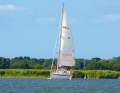 Yacht vor Schilfgürtel im Greifswalder Bodden