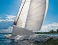 Daysailer dalla Germania