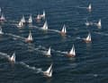 The starting field of the cruiser racing yachts