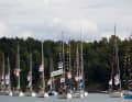 Parade of swans: More than 100 Swan yachts have flown the flag over the Toppen and are leaving Turku