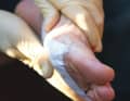 Sécuriser le support avec un non-tissé de fixation. Pour éviter que l'humidité ne pénètre à l'extérieur, il doit être imperméable. Il n'est cependant pas étanche, il ne faut donc pas se baigner avec.