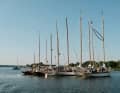 Une partie de la flotte s'est retrouvée la veille de la régate au mouillage dans la baie du port de Plüschow