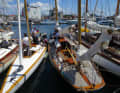 The fleet in Svendborg town harbour