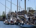 La flotte dans le port de la ville de Svendborg