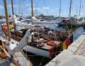 The fleet in Svendborg town harbour