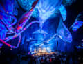 Ozeaneum, Stralsund